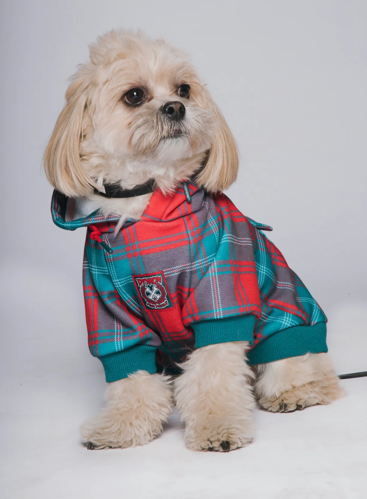 Jinglebells Dog Hoodie - Image 3
