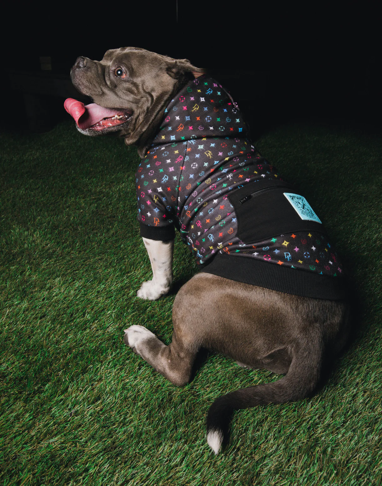 Multi Drip Bougie Dog Hoodie